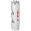 Bosch Accessories 2608594559 2608594559 vrtací korunka 16 mm 1 ks