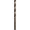 Bosch Accessories 2608577601 2608577601 kovový spirálový vrták 1 ks