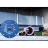 Bosch Accessories 2608902375 2608902375 Řezný kotouč 1 ks