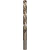 Bosch Accessories 2608577616 2608577616 kovový spirálový vrták 1 ks
