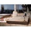 Bosch Accessories 2608577702 spirálový vrták do dřeva 1 ks