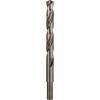 Bosch Accessories 2608577619 2608577619 kovový spirálový vrták 1 ks