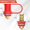 Nabíjecí svorka BCP-1 na autobaterii, M10, 250 A, pár