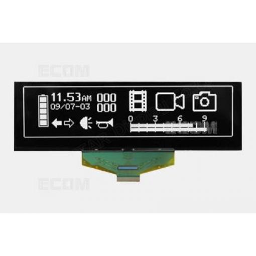 OLED grafický displej WEX025664DWPP3N00000, 256×64, bílý, 3 V