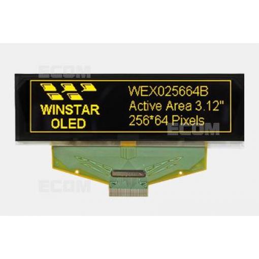 WEX025664BLPP3N00000