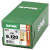 SPAX 1211010601205 sada kulatých šroubů do plechu 6 mm 120 mm T-STAR plus ocel 100 ks