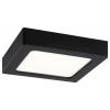 Paulmann Abia 71296 LED panel 9.5 W teplá bílá černá