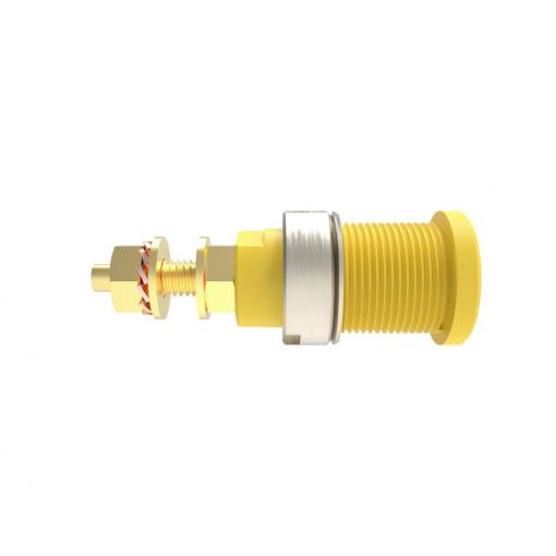 Schützinger DI SEB 6446 Au / GNGE bezpečnostní vestavná zásuvka 4 mm zelenožlutá 1 ks