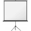 magnetoplan 202501937 plátno na stativu 244 x 183 cm Formát obrazu: 4:3