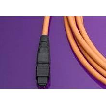 Molex 106284-0010 propojovací kabel 50/125 µ Multimode 1 ks