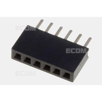 DS1065-01-1X6S8BV