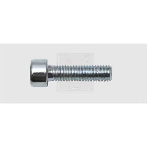 SWG 4009146067669 šrouby s vnitřním šestihranem 6 mm 60 mm vnitřní šestihran ocel pozinkované 100 ks