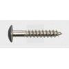 SWG 211535420 vrut na dřevěné fasády 5.5 mm 35 mm T profil nerezová ocel A4 100 ks