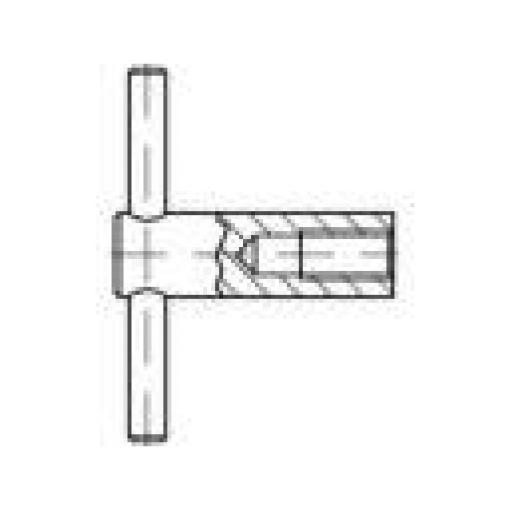 TOOLCRAFT 137862 křídlová matice M20 DIN 6305 ocel leštěný 1 ks