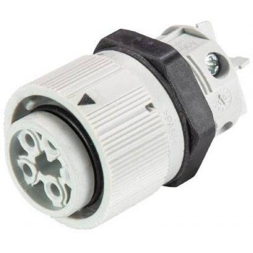 Wieland Electric RST16I5/4S B1 M03 GL 46.051.5054.0 kulatý faston, 1 ks