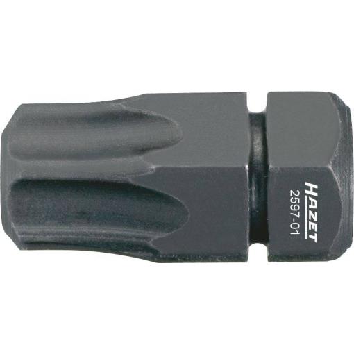 Hazet 2597-01 bit Torx T 45 Speciální ocel 1 ks