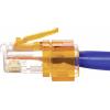 Klip pro opravu uchycení RJ45 Renkforce RF-NW-RC RF-4998135 50 ks