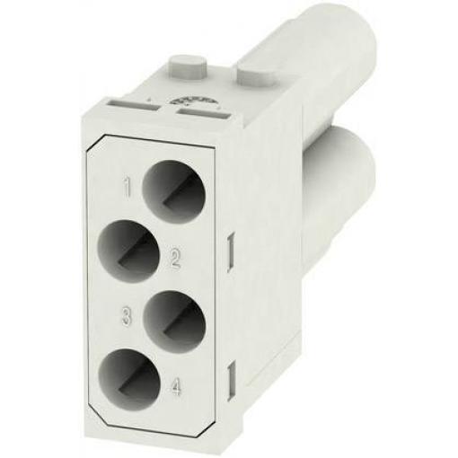 RockStar® Modu Plug, rám HDC MF 10B AC Weidmüller Množství: 1 ks Rámy