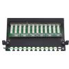 Renkforce 12 portů síťový patch box CAT 6A 1 U osazený