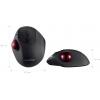 Perixx PERIMICE-717 D laserová Trackball, přenos bezdrátový, 7 tlačítko, 2000 dpi, černá