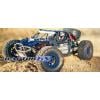 Reely Raptor 6S střídavý (Brushless) 1:8 RC model auta elektrický Buggy 4WD (4x4) RtR 2,4 GHz