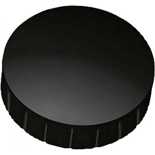 Maul magnet MAULsolid (Ø x v) 38 mm x 15.5 mm kulatý černá 10 ks 6163990