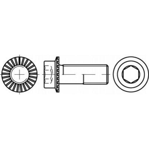 TOOLCRAFT TO-5444442 šestihranný šroub M12 30 mm vnitřní šestihran 88912 100 ks