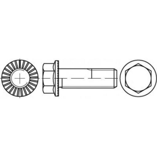 TOOLCRAFT TO-5444466 šestihranný šroub M6 10 mm vnější šestihran 88913 500 ks