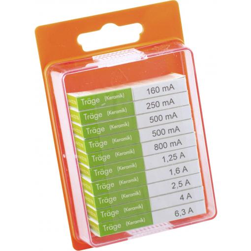 ESKA 122.850 122850 sada trubičkových pojistek (Ø x d) 5 mm x 20 mm T pomalá Množství 100 ks