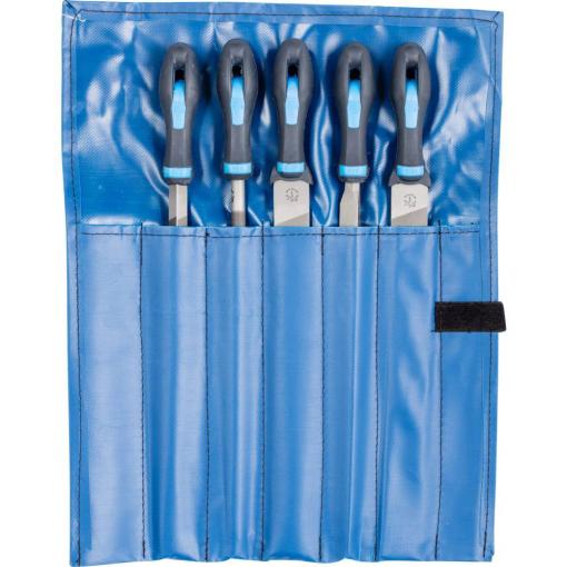 PFERD TOOLS 11800552 Sada dílenských pilníků Hsítko 2 do svinovací PVC tašky Délka 300 mm 1 ks