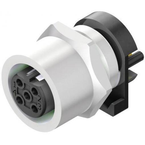 Weidmüller SAIE-M12BB-4-F5.5TL neupravený zástrčkový konektor pro senzory - aktory, 2424020000, piny: 4, 10 ks