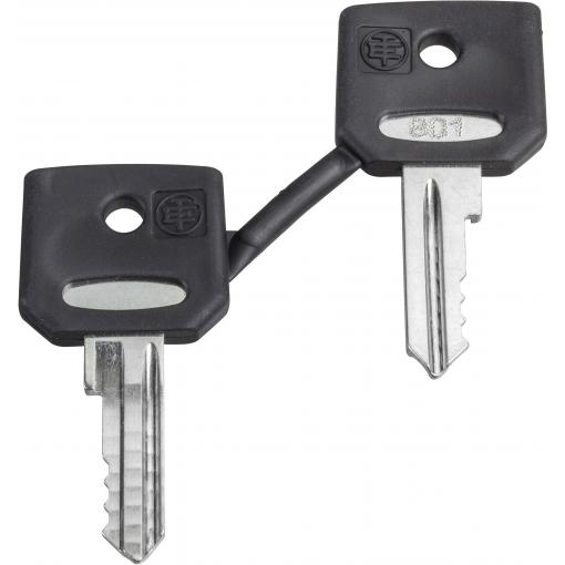 Schneider Electric ZBD8D1 ZBD8D1 náhradní klíč 1 ks