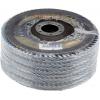 Rhodius 210484 LSZ F3 vějířovitý brusný kotouč Průměr 125 mm Ø otvoru 22.23 mm Zrnitost 80 nerezová ocel 1 ks