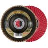 Rhodius 208743 JUMBO SPEED vějířovitý brusný kotouč Průměr 115 mm Ø otvoru 22.23 mm Zrnitost 40 nerezová ocel 1 ks