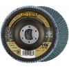 Rhodius 210480 LSZ F3 vějířovitý brusný kotouč Průměr 115 mm Ø otvoru 22.23 mm Zrnitost 60 nerezová ocel 1 ks