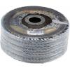 Rhodius 210663 LSZ F3 vějířovitý brusný kotouč Průměr 115 mm Ø otvoru 22.23 mm Zrnitost 80 nerezová ocel 1 ks