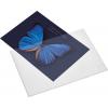 magnetoplan 1120100 magnetická kapsa na dokumenty transparentní, bílá (š x v) 230 mm x 5 mm DIN A4
