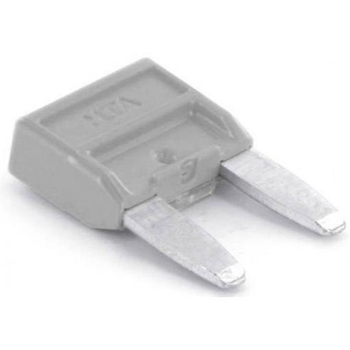 TRU COMPONENTS8551176 mini plochá pojistka pro motorová vozidla , 2 A, 1 ks