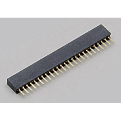 TRU COMPONENTS zásuvková lišta Počet řádků: 1 Počet kontaktů v řadě: 3 TC-2506268 1 ks