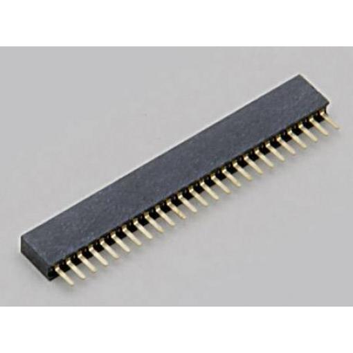 TRU COMPONENTS zásuvková lišta Počet řádků: 1 Počet kontaktů v řadě: 20 TC-2506276 1 ks