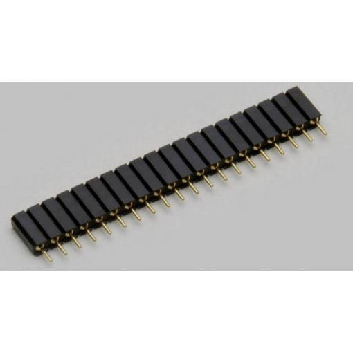 TRU COMPONENTS precizní dutinková lišta Počet řádků: 1 Počet kontaktů v řadě: 5 TC-2506453 1 ks