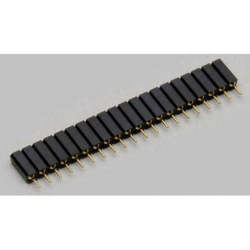TRU COMPONENTS precizní dutinková lišta Počet řádků: 1 Počet kontaktů v řadě: 12 TC-2506457 1 ks