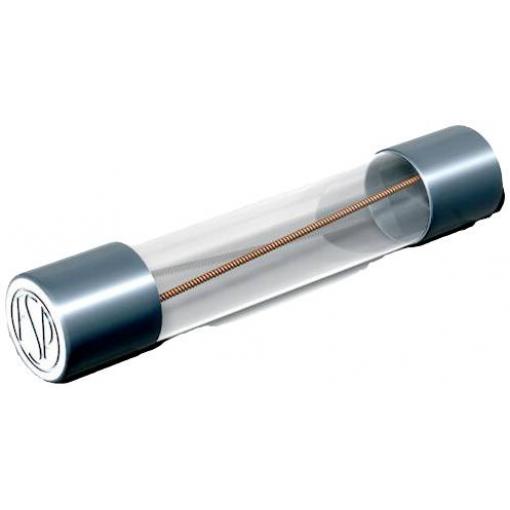 Püschel Feinsicherungen FSUT0,8A FSUT0,8A trubičková pojistka (Ø x d) 6.3 mm x 32 mm 0.8 A 500 V T pomalá Množství 10 ks