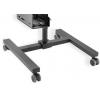 Digitus Pojízdný vozík na PC/monitor DA-90374 1 Displej: (s) 43,2 cm (17) - 81,3 cm (32) černá nastavitelná výška, odkládací místo na klávesnici, naklápěcí,