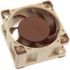 Noctua NF-A4x20 5V PWM PC větrák s krytem hnědá (š x v x h) 40 x 40 x 20 mm