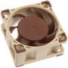 Noctua NF-A4x20 5V PC větrák s krytem hnědá (š x v x h) 40 x 40 x 20 mm