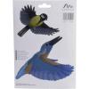 Gardigo Stickers Native Birds nálepka do okna s obrazem ptáka Druh funkce odstrašení 1 ks