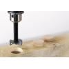 Wolfcraft 3362000 Foersterův vrták, čelní fréza 20 mm Celková délka 90 mm válcová stopka 1 ks