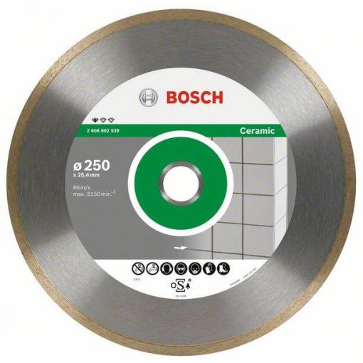 Bosch Accessories 2608602539 Bosch Power Tools diamantový řezný kotouč Průměr 250 mm 1 ks