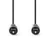 Optický audio kabel TosLink, 2m, černý  CAGB25000BK20